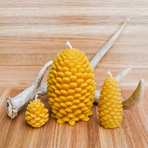 Pine Cone Beeswax Candles - Small Hot on Sale - Image 2