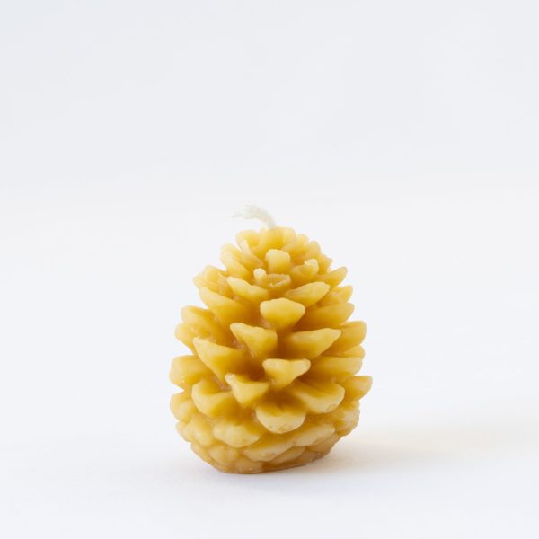 Pine Cone Beeswax Candles - Small Hot on Sale