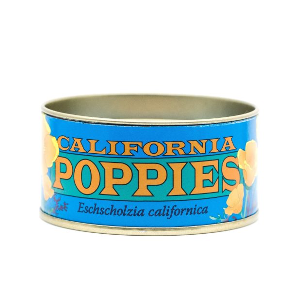 California Poppy Seed Grow Kit Online Hot Sale